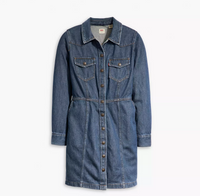 Levi's Flynn Denim Dress