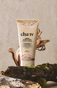 ChanV Muscle Cream Arnica Clove Eucalptus