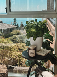 Shy Wolf Candles Herb Garden Soy Candle